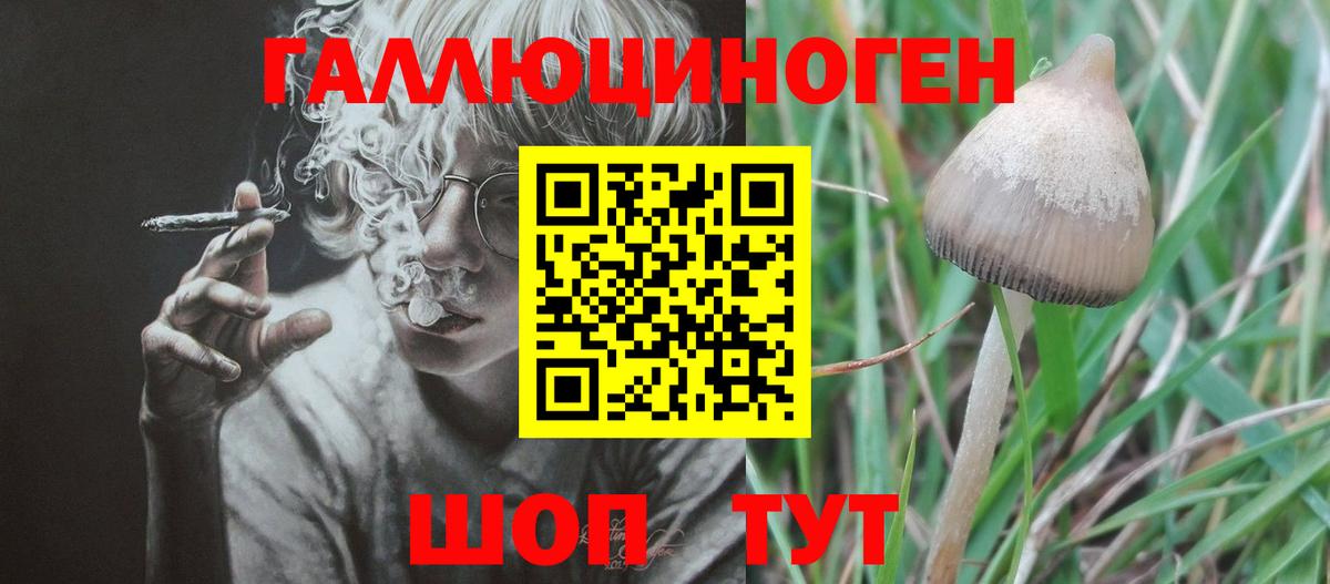 Псилоцибиновые грибы MAGIC MUSHROOMS  Вход с VPN  Псилоцибиновые грибы GOLDEN TEACHER  Чистополь 